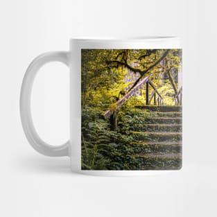 Sorrel covered staircase Mug